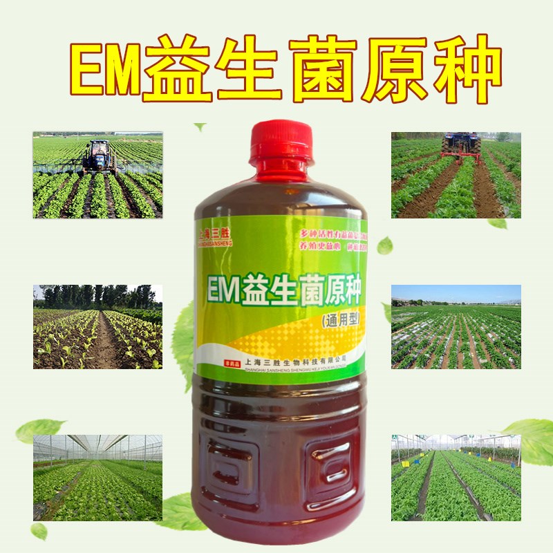 em菌种益生菌液原液露益兰菌蓝莓调酸植物营养液盐碱地土壤改良剂