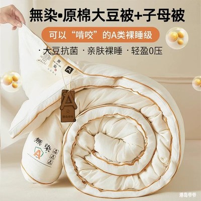 安雅力大豆被A类无染加厚冬被大豆纤维被芯春 秋被学生棉被子母被