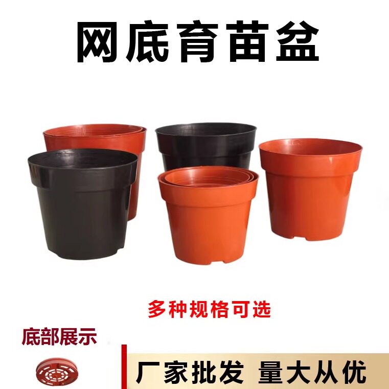 网底塑料育苗花盆兰花多肉基地苗圃红色黑色网底孔底透气花盆