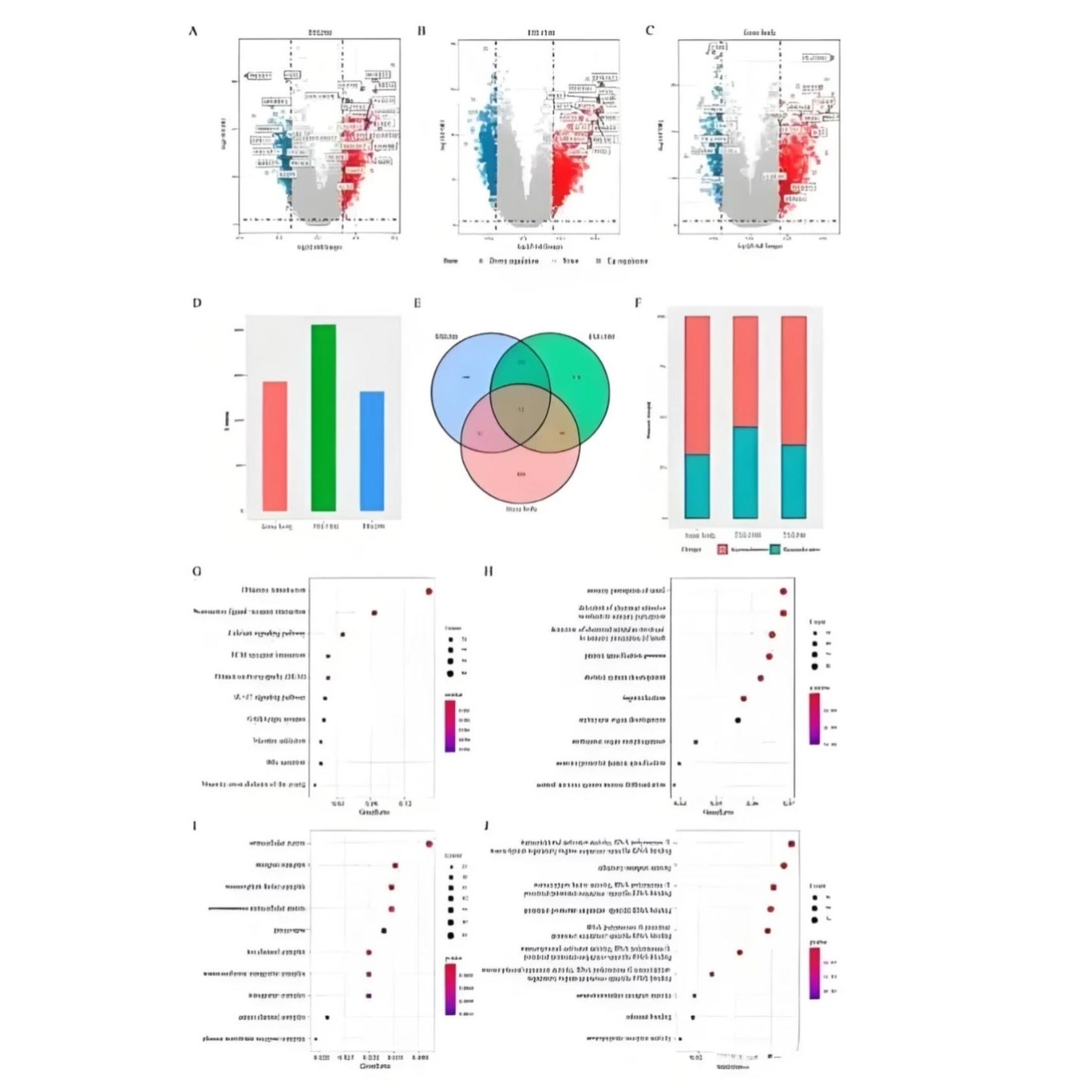RNAseq数据分析代做含差异表达和lncRNA研究