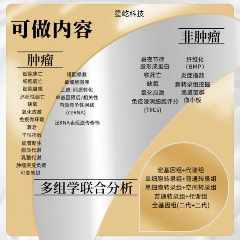 生信分析服务TCGA GEO挖掘单细胞测序自测数据个性化富集分析医学