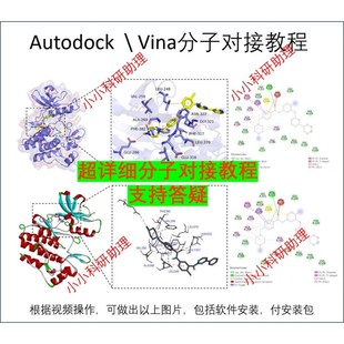 蛋白药物分子对接教程