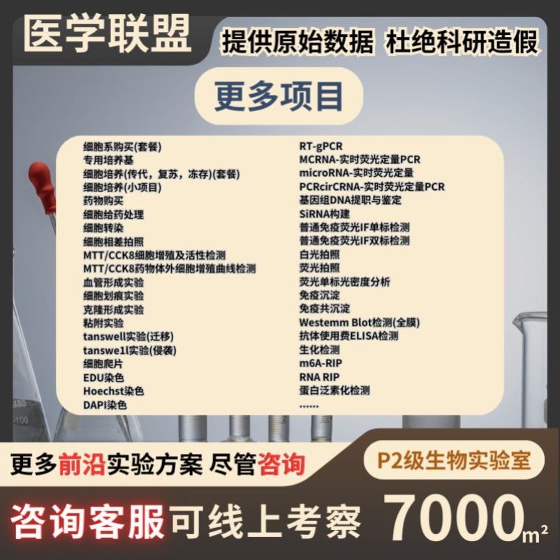 动物实验 机器学习 动物/细胞/蛋白实验/转录组/多组学/TCGA/GEO