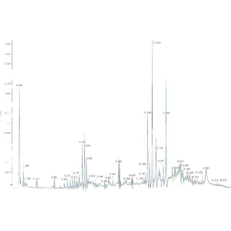 质谱检测数据分析服务、代谢组学服务、蛋白组学服务、教学培训服