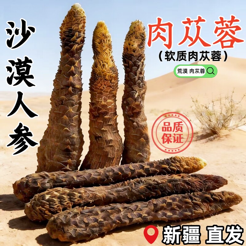 肉苁蓉沙漠人参荒漠肉苁蓉滋补养泡酒泡茶煲汤新疆软质大芸中药材