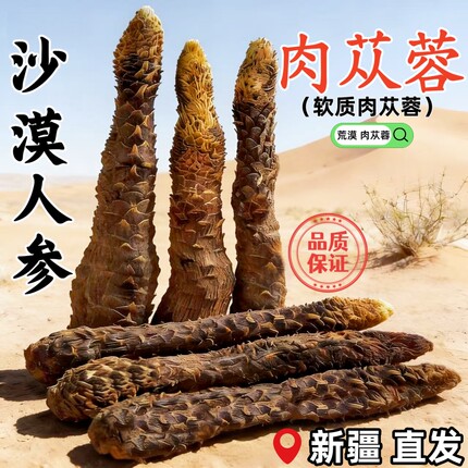 肉苁蓉沙漠人参荒漠肉苁蓉滋补养泡酒泡茶煲汤新疆软质大芸中药材