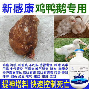 新感康养鸡专用药鸡病全治鸡新城疫鸡瘟药感冒咳嗽鸡鸭鹅救命药