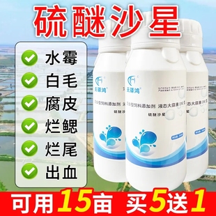 硫醚沙星水产养殖专用水霉病专治鱼药白毛腐皮烂鳃烂尾克星水霉净