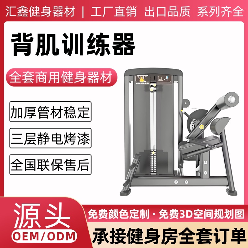 背肌训练器健身房商用腹肌背部伸展训练力量器械居家健身器材大全
