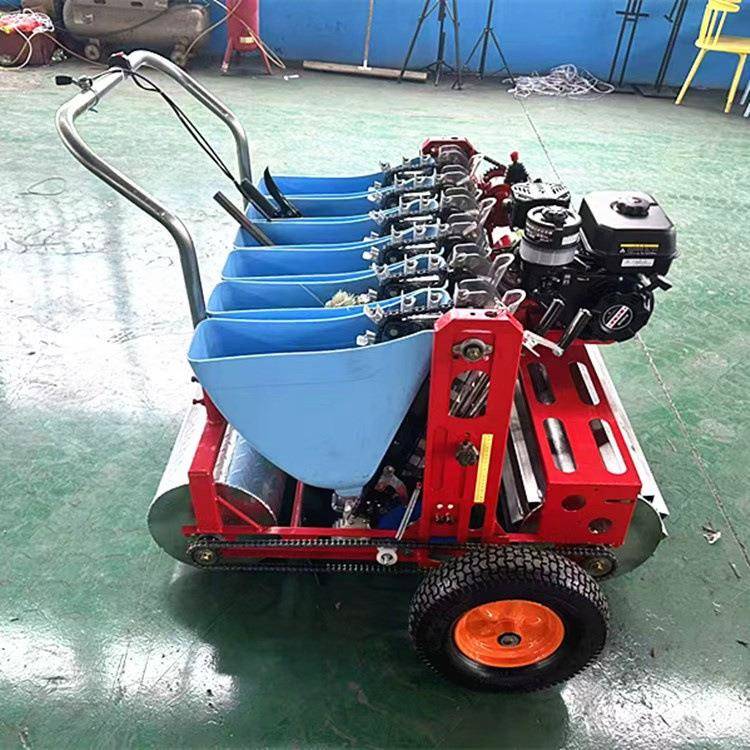小型家用手推电动种植机 三行种穴播机 汽油7.5马力大蒜播种机