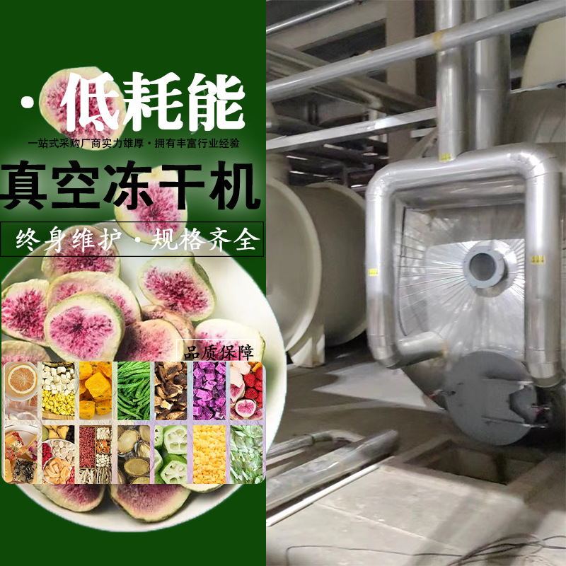 农产品低温真空冻干机 香椿芽蔬菜脱水冻干设备 真空冷冻干燥机