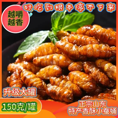 香酥蚕蛹升级大罐送20g到手170克/罐高蛋白山东特产下酒菜零食