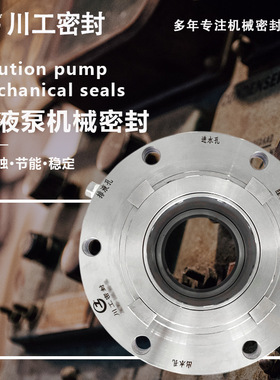 泵机封6/8LRB(I)60A\3/4KLRB(I)51A\2/3LRB(I)32KA渣浆泵机械密封