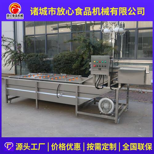 大型蔬菜清洗机 全自动不锈钢气泡清洗机 多功能果蔬喷淋式清洗机