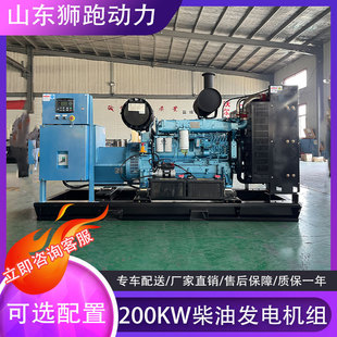 200千瓦柴油发电机组纯铜无刷 游乐场应急供电设备 200KW发电机组