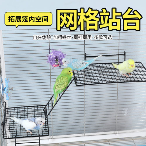 鹦鹉铁艺站台休息平台跳台虎皮