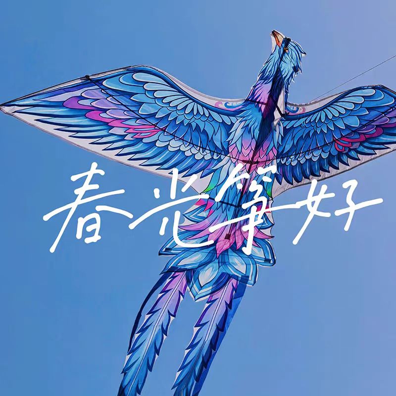 潍坊凤凰风筝2026年新款国潮大人