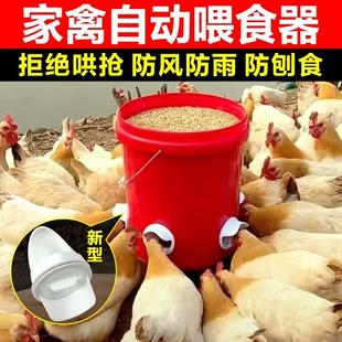 喂 鸡食槽家禽自动喂 食神器芦丁鸡饲料桶饮水器小鸡鸭鹅自动喂