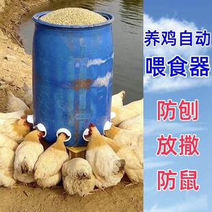 养鸡自动喂 食器防老鼠喂 鸡专用懒人吃食神器自动投喂器防刨鸡食
