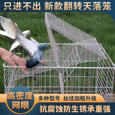 天落笼翻转鸽子笼活络门只进不出连续收鸽笼跳笼自动门神器捕捉