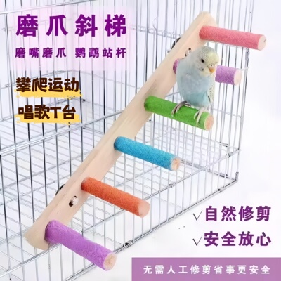 鹦鹉专用磨牙棒互动云梯木梯站杆