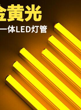 金黄色暖光暖黄LED灯管T5一体化酒店台球室网吧氛围吊顶长条灯管