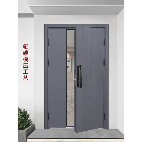 S6副主门入口门通风防盗门带风窗农村自建门双开式入口门室外钢质