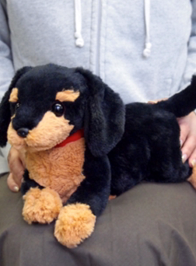 日本sunlemon玩偶进口仿真黑色腊肠犬小狗毛绒玩具泰迪生日礼物女