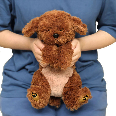 日本sunlemon仿真小狗玩偶大号泰迪贵宾犬瞌睡狗毛绒玩具节日礼物