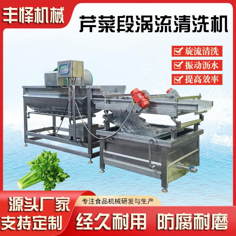 全自动旋流式果蔬清洗机莴苣片涡流清洗设备豆角段涡流清洗机器