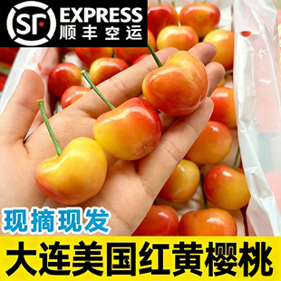 2斤5j美国红雷尼尔黄金车厘子斯凯拉雷新鲜时令水果大樱桃礼盒装