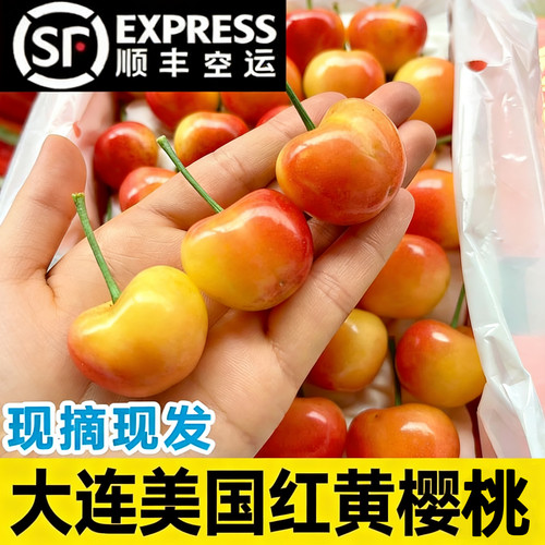 2斤5J雷尼尔黄金车厘子礼盒