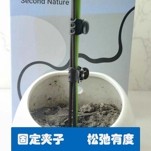 园林兰花夹支架园艺支撑杆造型架子花卉花枝固定蔓藤爬藤植物专用