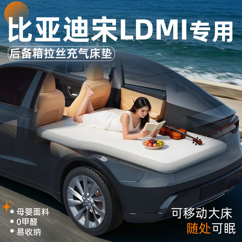 【宋Ldmi】专用后备箱拉丝床垫