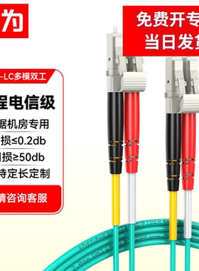 胜为万兆多模双芯工程电信级光纤跳线LC-LC OM3-300尾纤低烟无卤LSZH3米FLLO-1030