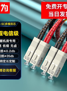 胜为电信级光纤跳线SC-SC多模双芯3米62.5/125光缆熔接尾纤多模双芯SC-SC3米FMC-201