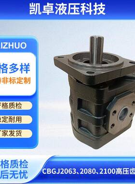 高压齿轮单联油泵厂家CBGJ2063CBGJ2080CBGJ2100高压齿轮油泵