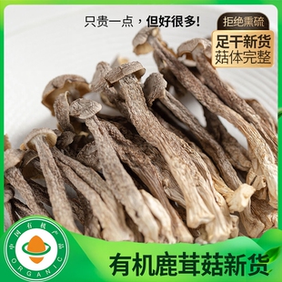 古田鹿茸菇干货无硫特级脆菇农家特产煲汤炖肉炒菜山珍菌菇干货