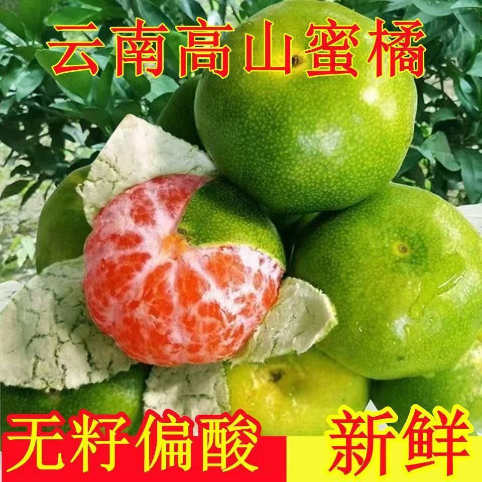 云南无籽蜜桔薄皮新鲜酸甜柑橘子桔子