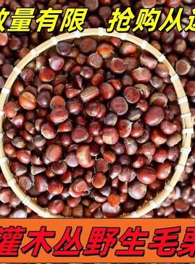 野生小板栗2025新货新鲜板栗子高山农家老品种鲜板栗生板栗