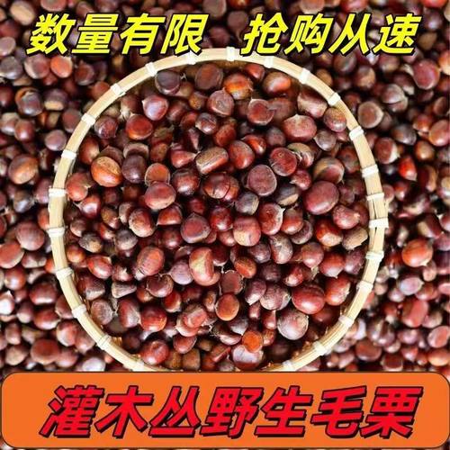 野生小板栗2025新货新鲜板栗子高山农家老品种鲜板栗生板栗