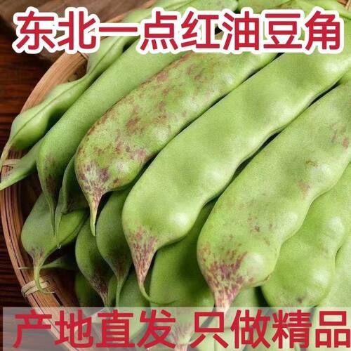 头茬正宗东北油豆角一点红新鲜蔬菜九月青面豆角开锅烂