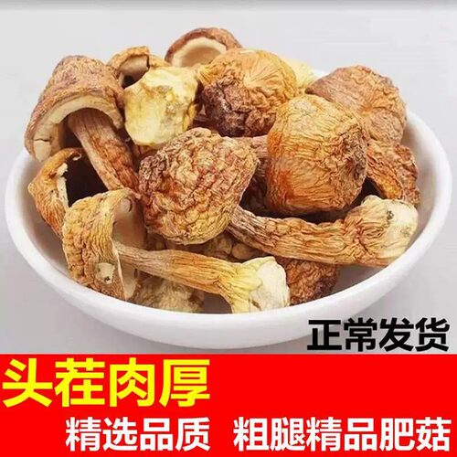 新货姬松茸干货新鲜食用菌巴西菇蘑菇鸡松茸菌煲汤非野生云南特产