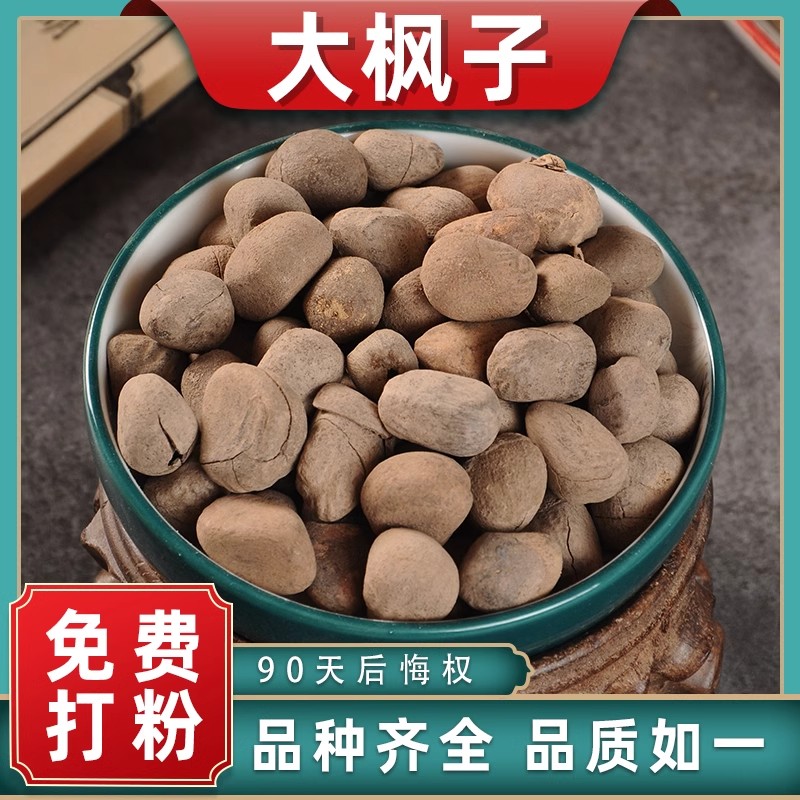 大枫子中药材药用中草药材大全大风子新鲜大枫子仁干货麻风子干货