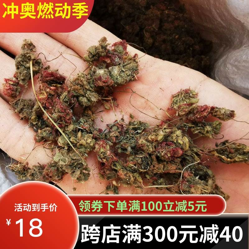 锦地罗中药材落地金钱新鲜干货 怎地罗 文钱红金线吊芙蓉 金钱花