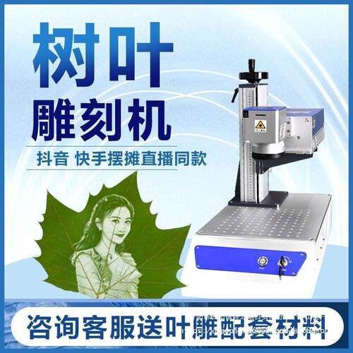 汉工树叶激光雕刻机叶雕照片机器可乐刻字机钥匙扣光纤激光打标机