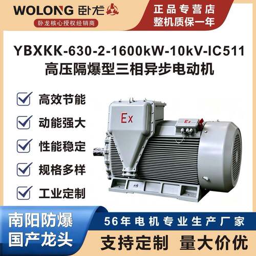 卧龙YBXKK-630-2-1600kW-10kV-IC511-B3压隔爆型三相异步电动机