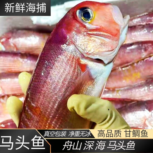 舟山东海活冻整条马头鱼
