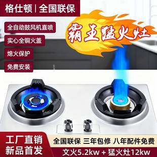 格仕顿 D新型霸王猛火灶家宴12kw别墅厨房燃气灶家用商用台嵌两用