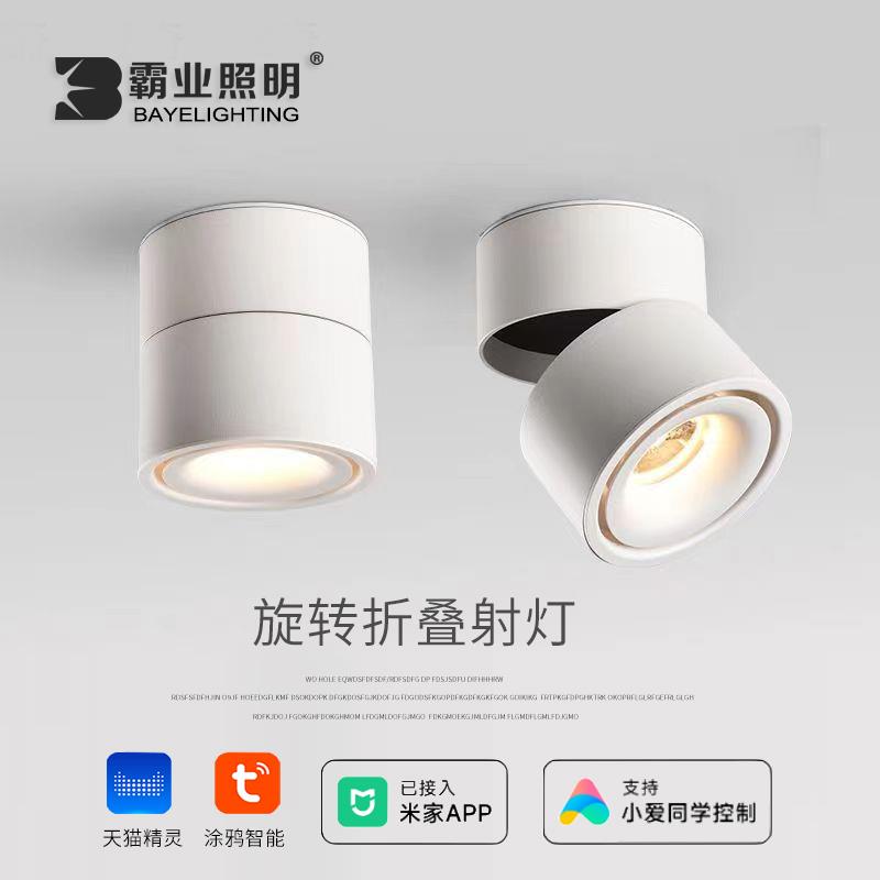 明装射灯可调角度涂鸦智能聚光商用吸顶筒灯服装店客厅北欧轨道灯